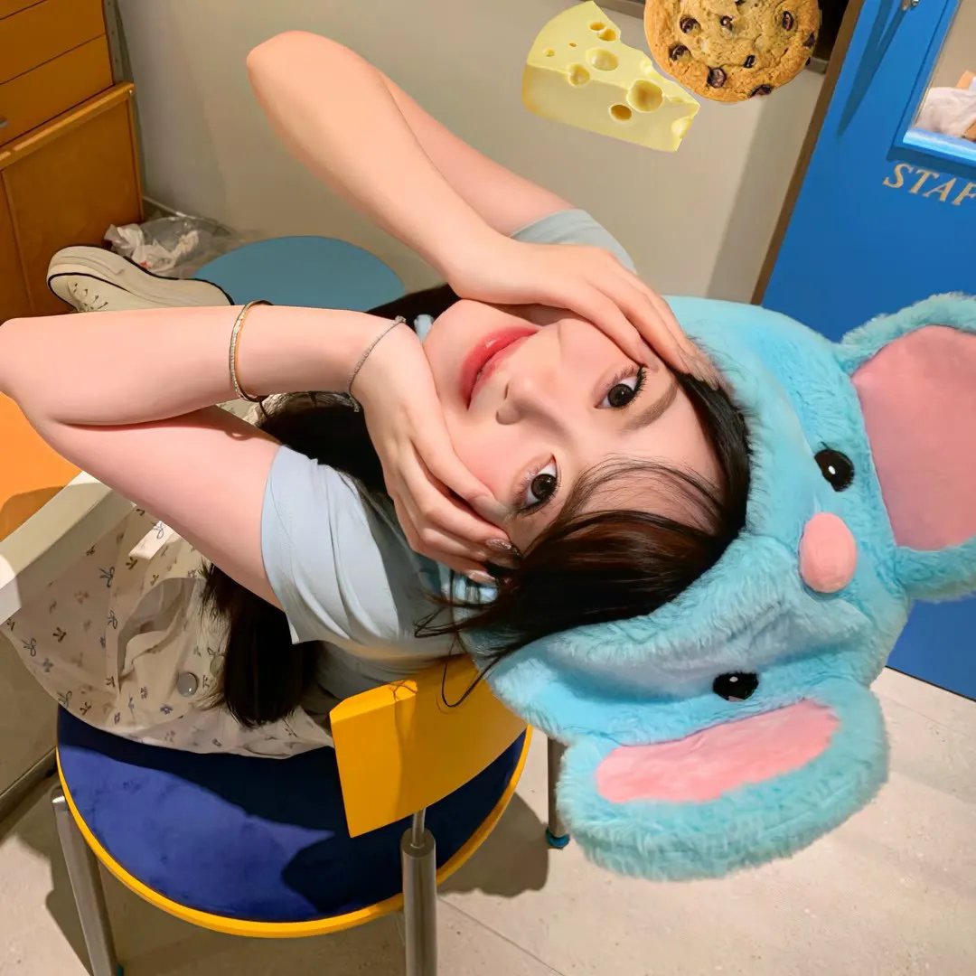 狐狸新娘星